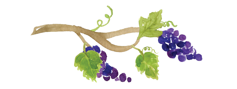 grapes-watercolor-01