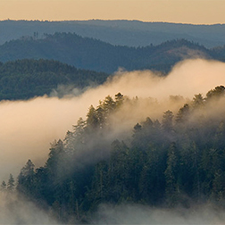 advent-retreats-2017-fog-square